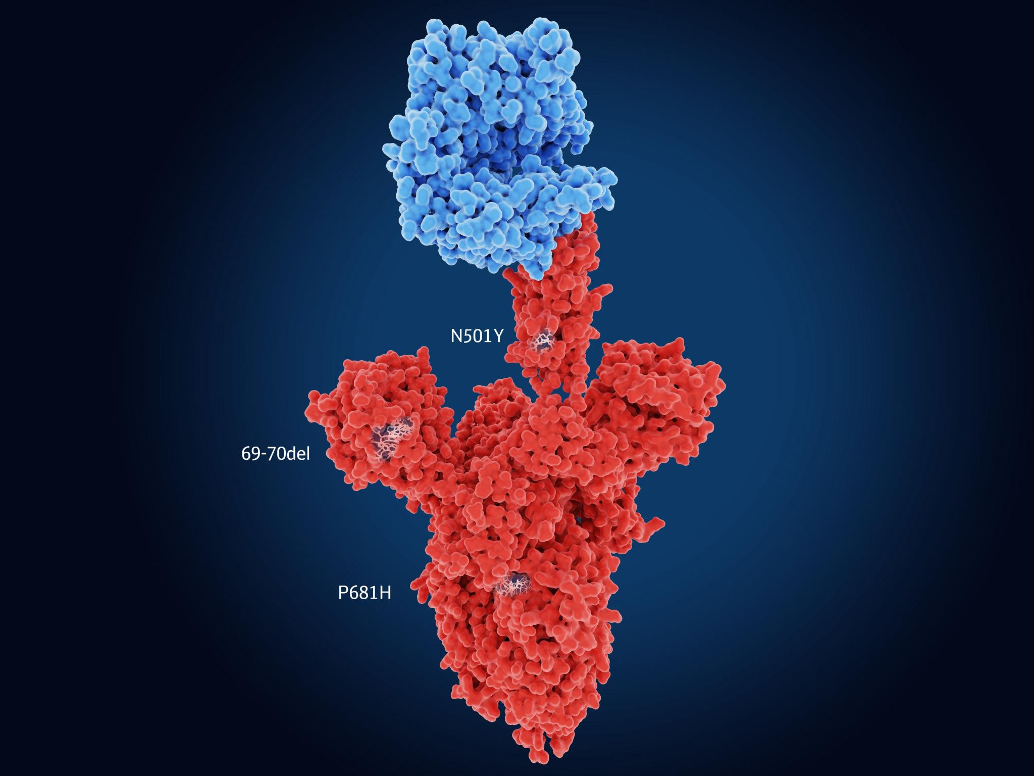 Epitope landscape